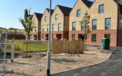 Landscaping & Finishing Touches